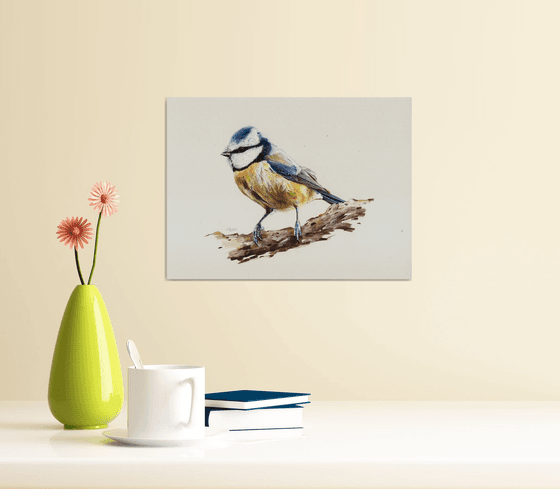 Eurasian Blue Tit