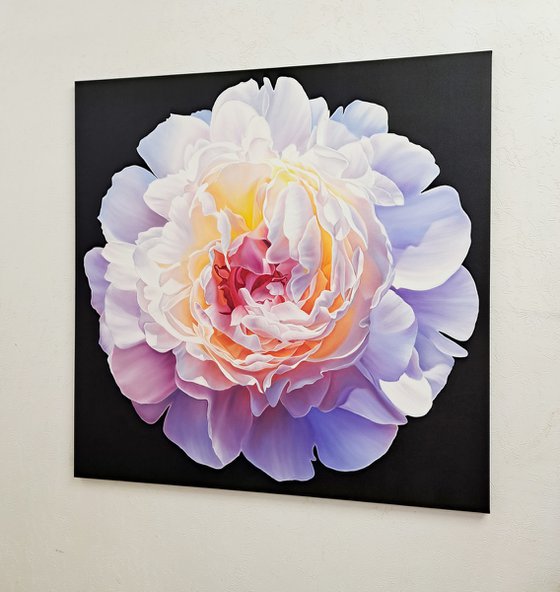 "Sunny peony", floral art