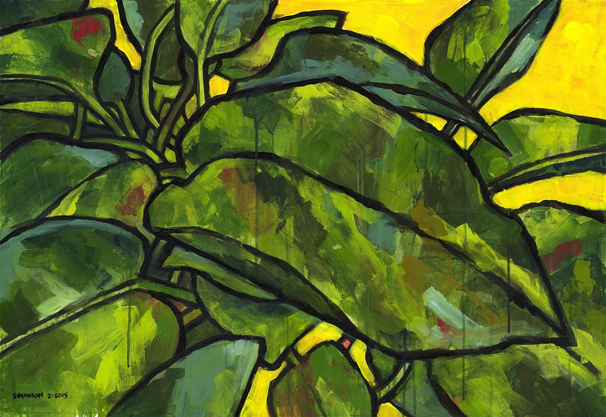 Pothos 2 by Douglas Simonson