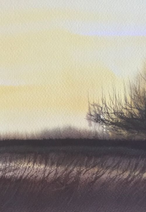 The old Goat Willow by Samantha Adams