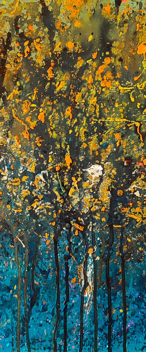 Eclats de lumière by ÂME SAUVAGE