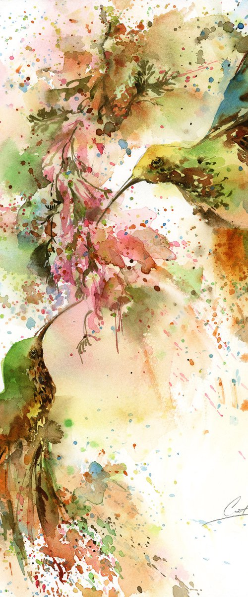 Hummingbirds by Sophie Rodionov