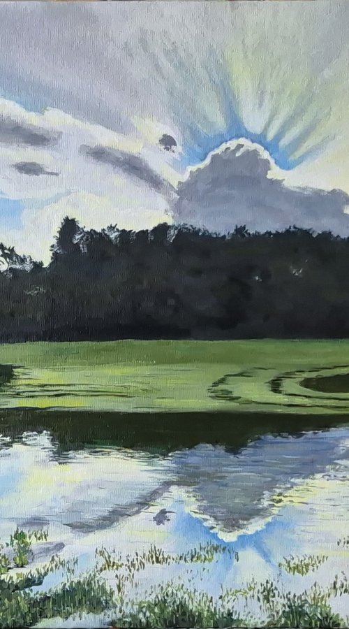 Light on a Flooded Field: A Sussex Landscape by Chris Marshall