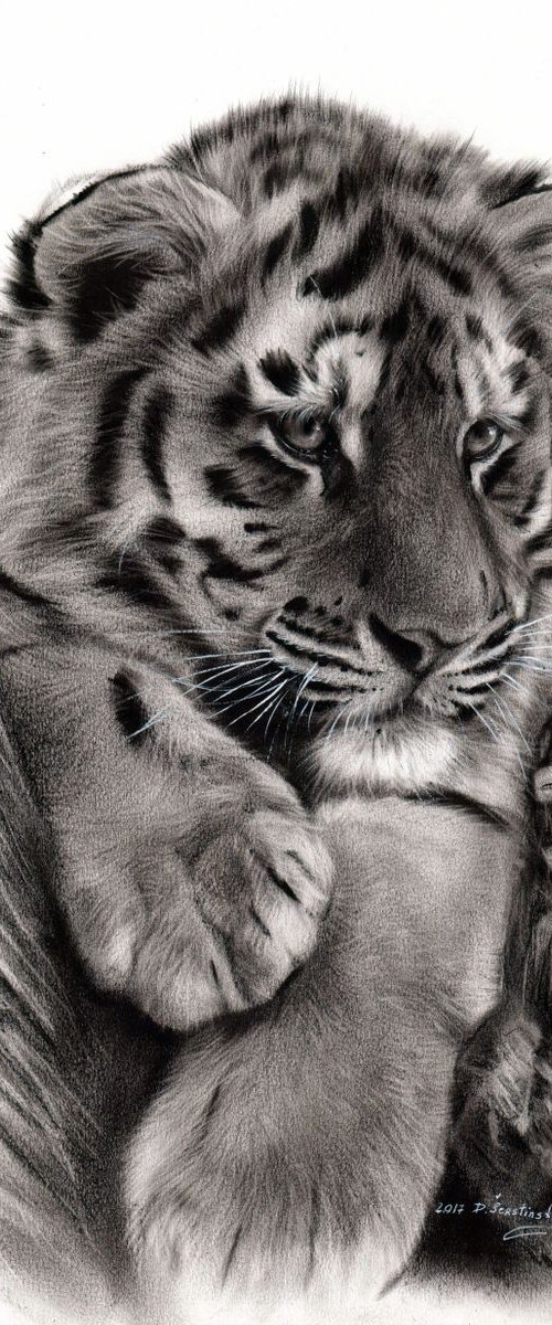Tiger Cub Marwell by Danguole Serstinskaja