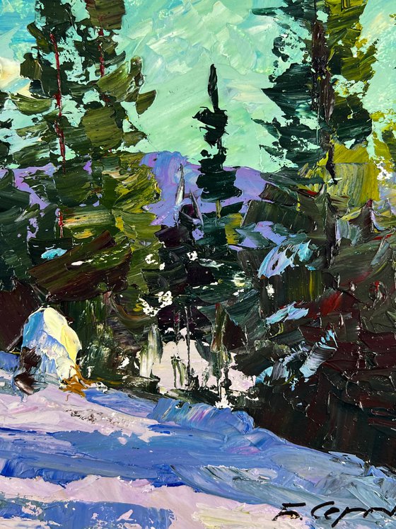 Winter In The Mountains