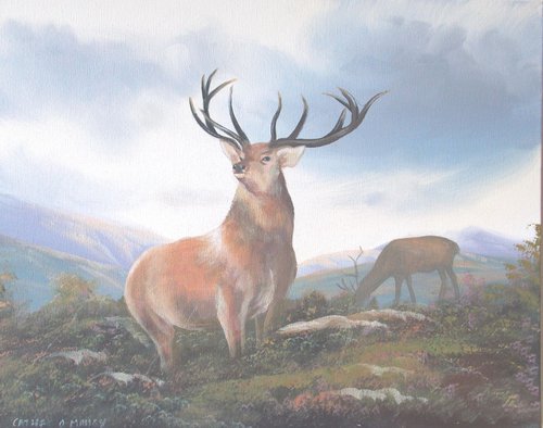 the stag fight by cathal o malley