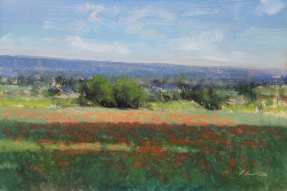Poppy fields
