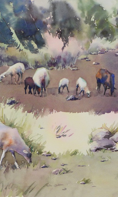 Cretan sheep Watercolor Greece landscape with grazing animals by Yulia Evsyukova