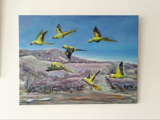 Rose-ringed Parakeets