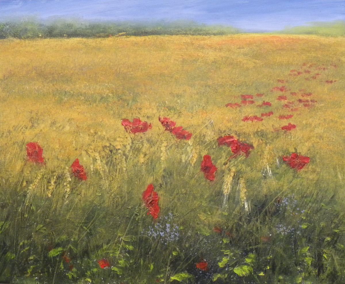 Poppies and Corn by Colin Buckham