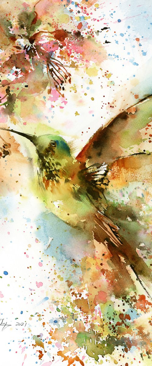 Hummingbird by Sophie Rodionov