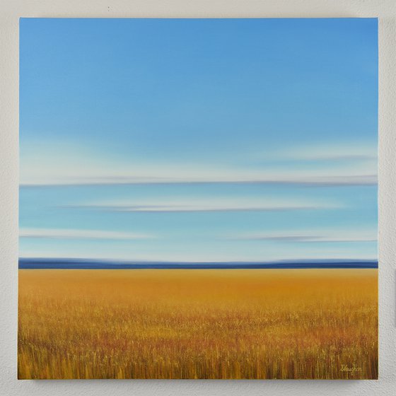 Golden Summer Field - Blue Sky Landscape