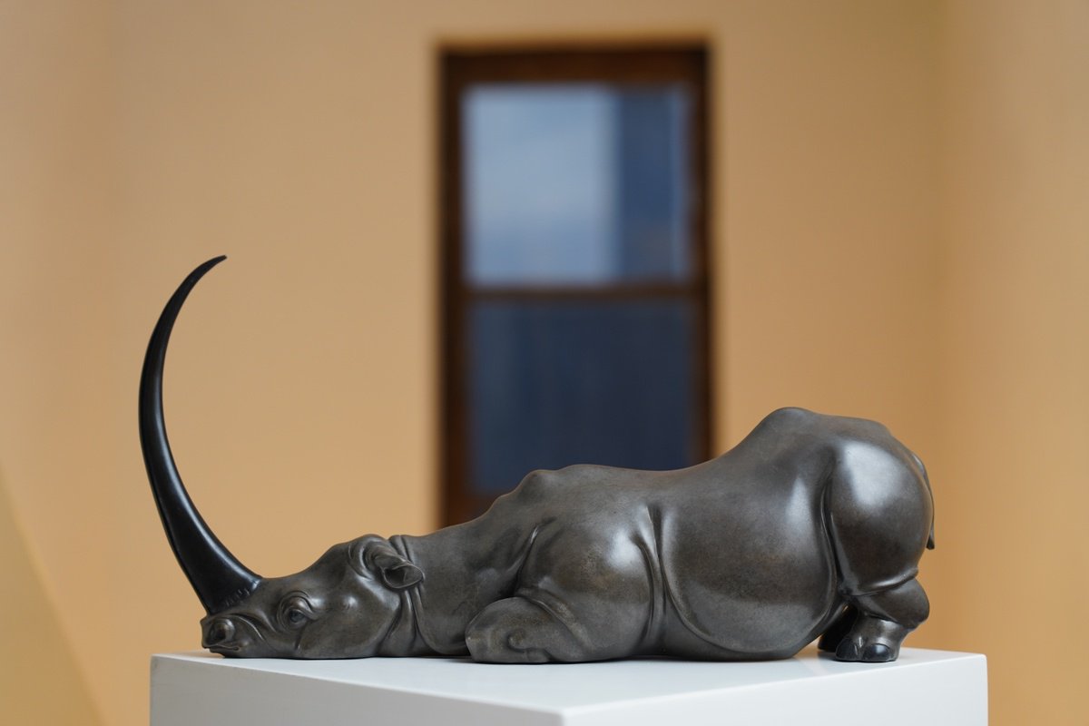 The story of the rhinoceros by Zhao Yongchang ???