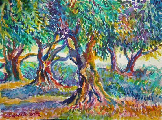 Old olive orchard II