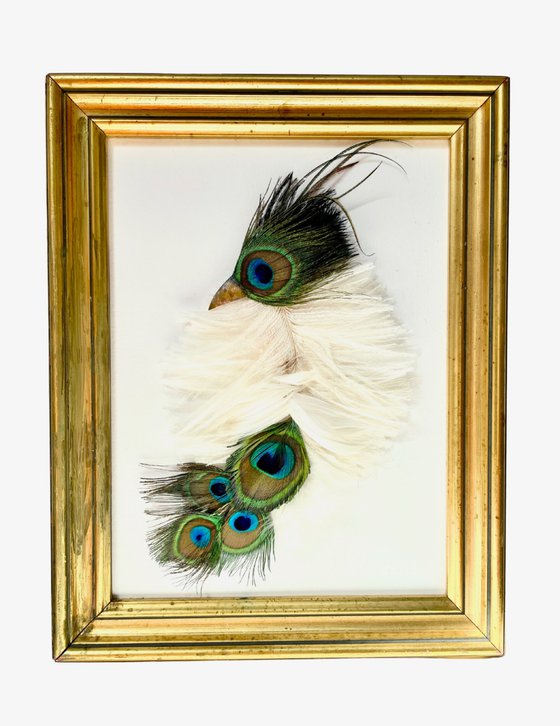 The young bird of paradise