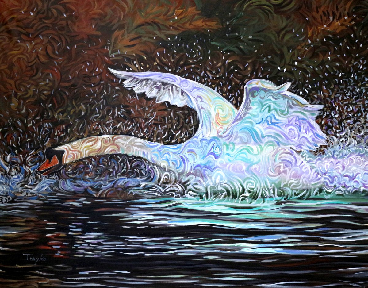 Swan | Flight | Waking up by Trayko Popov