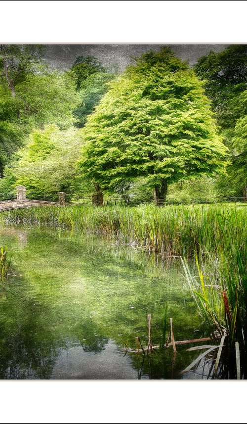 Water Under the Bridge by Martin  Fry