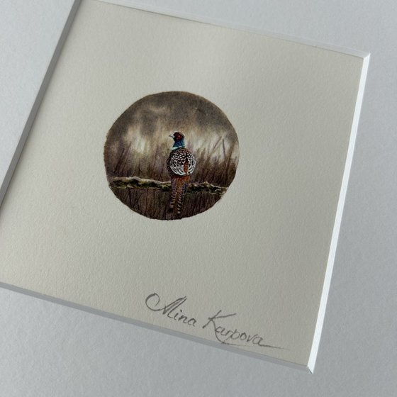 Pheasant miniature