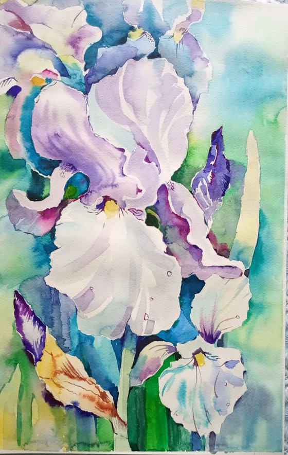 Irises, watercolor painting, 49x31,5cm