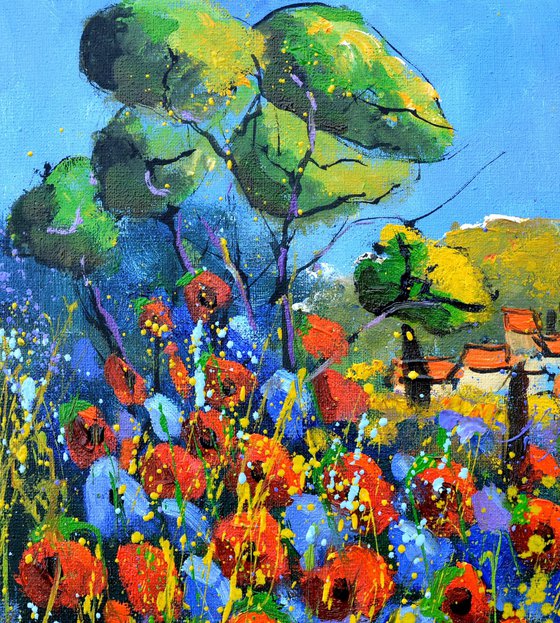 Poppies in Provence