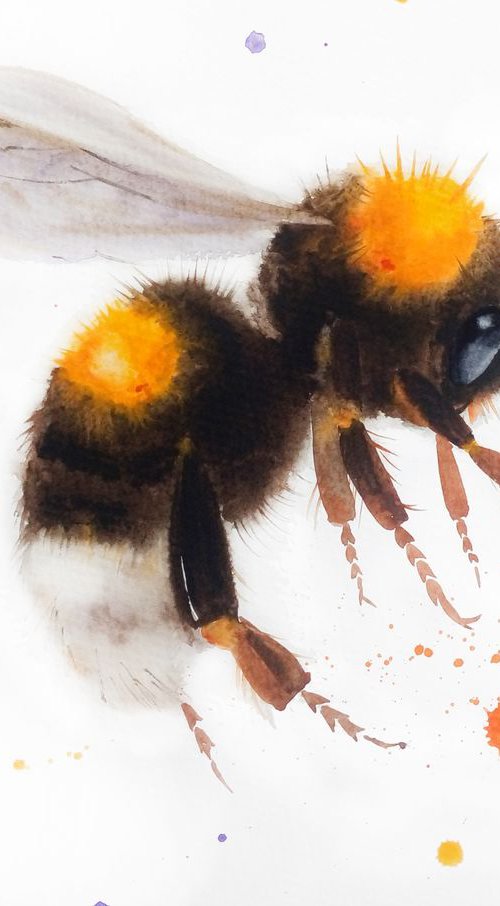Bumblebee #2 by Olga Beliaeva Watercolour