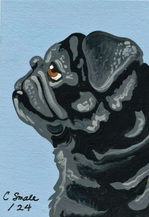 Black Pug by Carla Smale