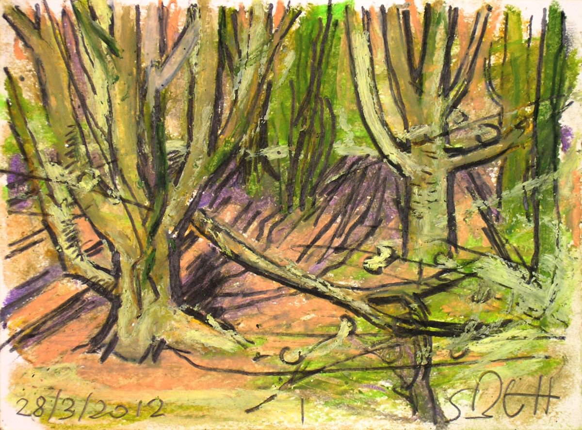 Sunlight Woods I of II by Samuel Buttner