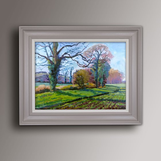 Autumn Fields, Hovingham