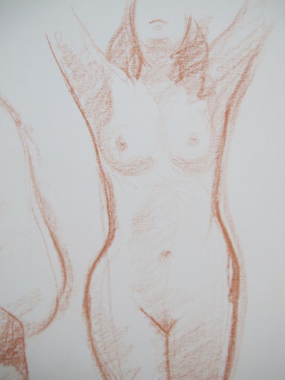 female nudes