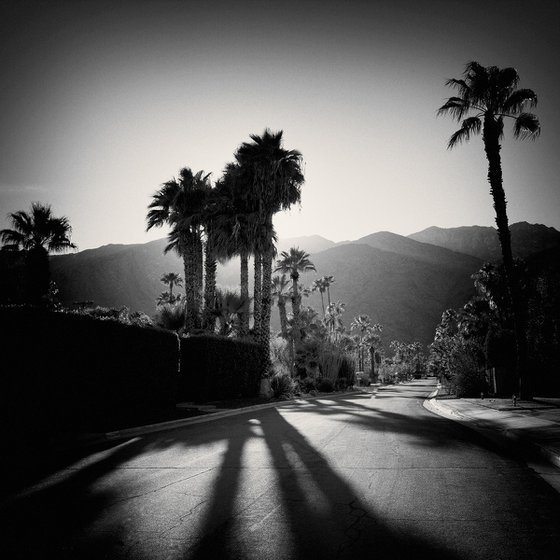 Late Shadows, Twin Palms