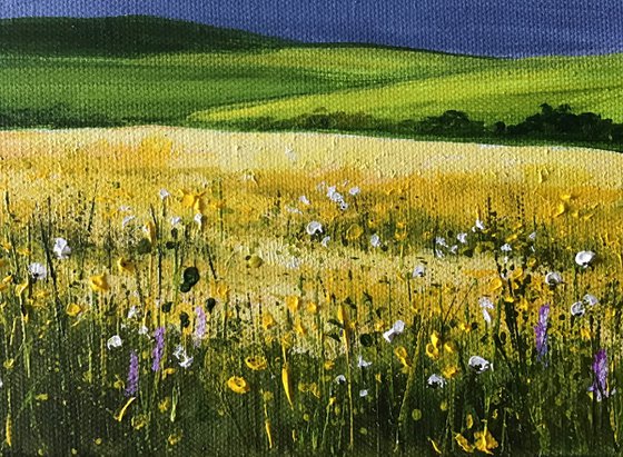 Meadow Flowers