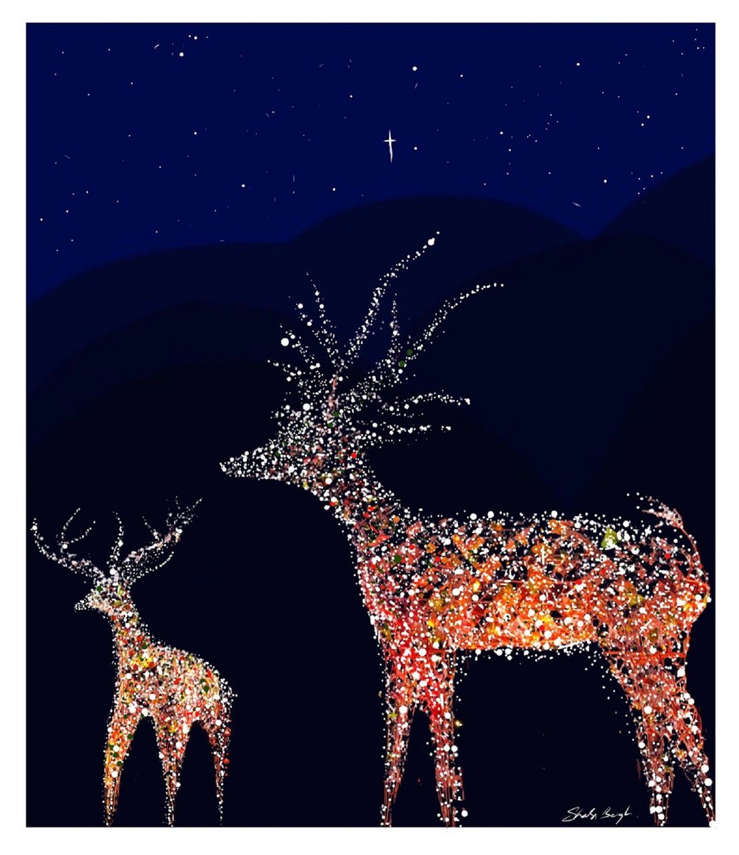 Reindeer by Shabs Beigh