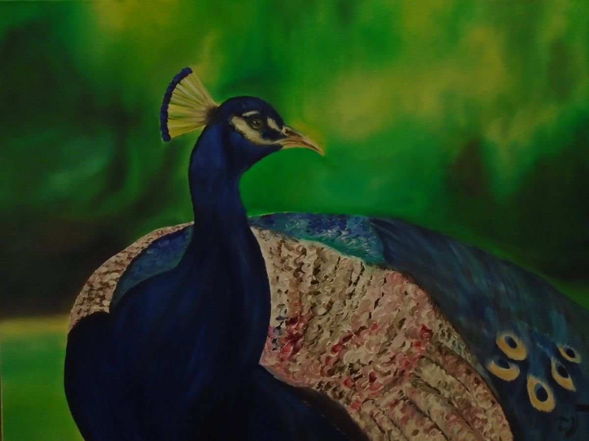 Peacock by Timea Valsami