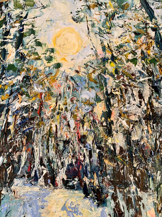 Winter forest at sunset