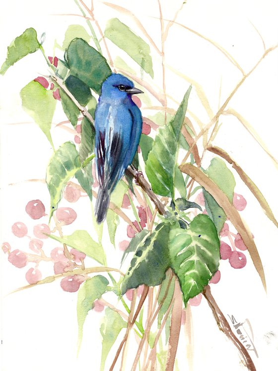 Indigo Bunting