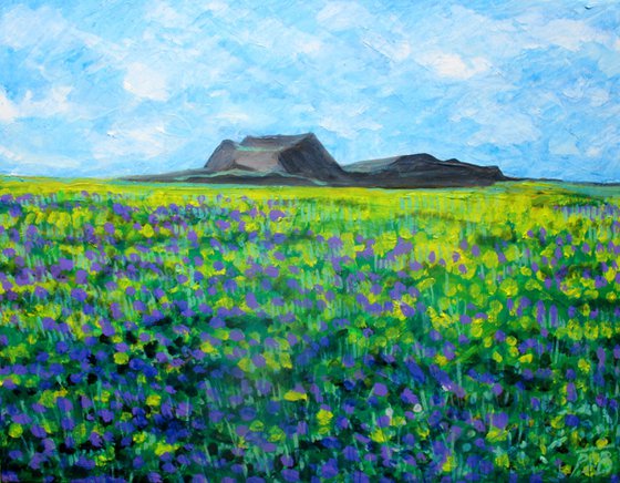 Lanzarote Landscape II