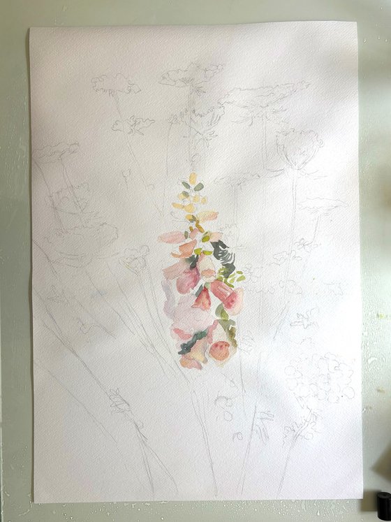 Foxglove and Wildflowers