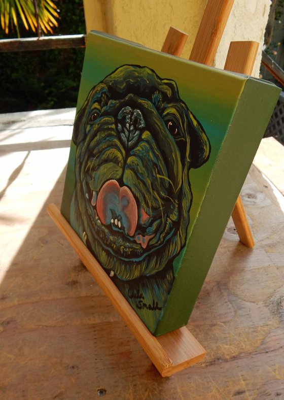 Rainbow Pug Dog Original Art Painting-8 x 8 Inches Deep Set Stretched Canvas-Carla Smale