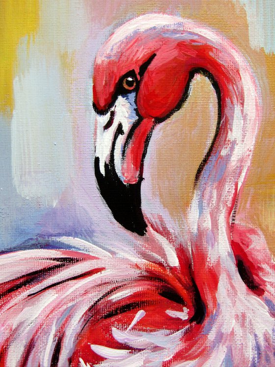 Flamingo