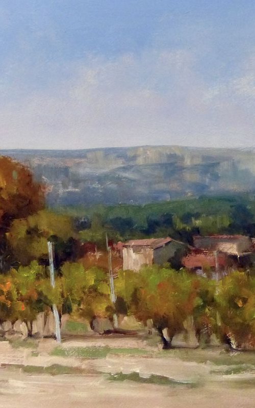 Vineyards in October by Pascal Giroud