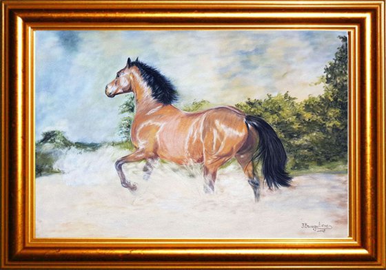 Pastel realism realistic painting on velour ,,HORSE ''