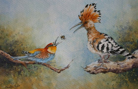 Hoopoe and the Bee - eater