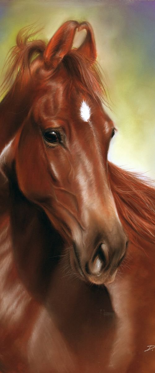Amazing Marwari Horse by Danguole Serstinskaja