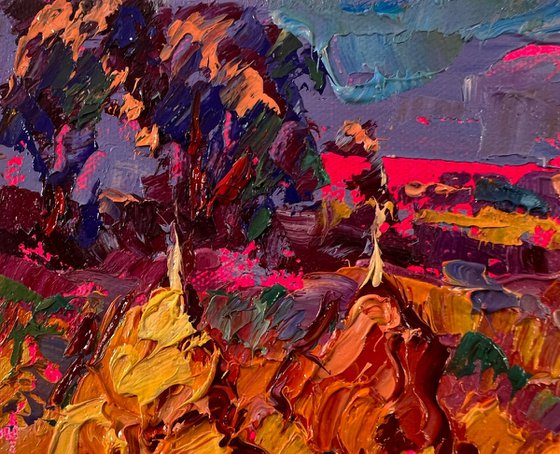 Sunset over the field