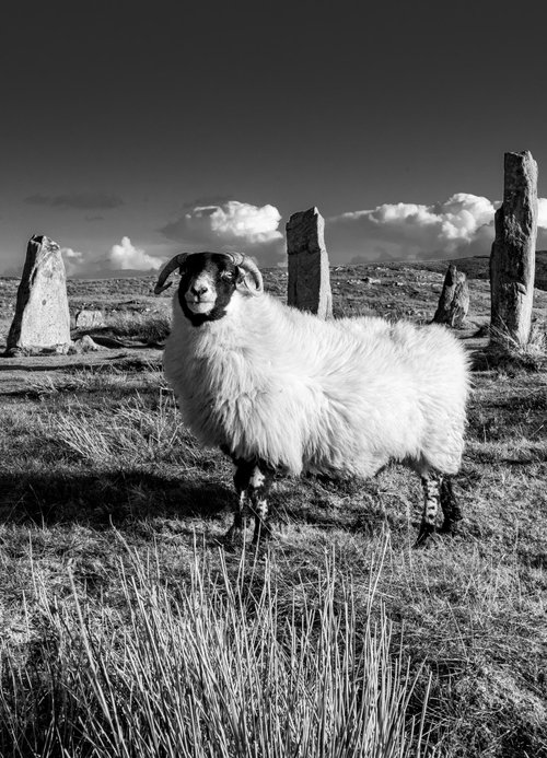 Garynahine Stone Circle - Callanish 3 - Isle of lewis by Stephen Hodgetts Photography