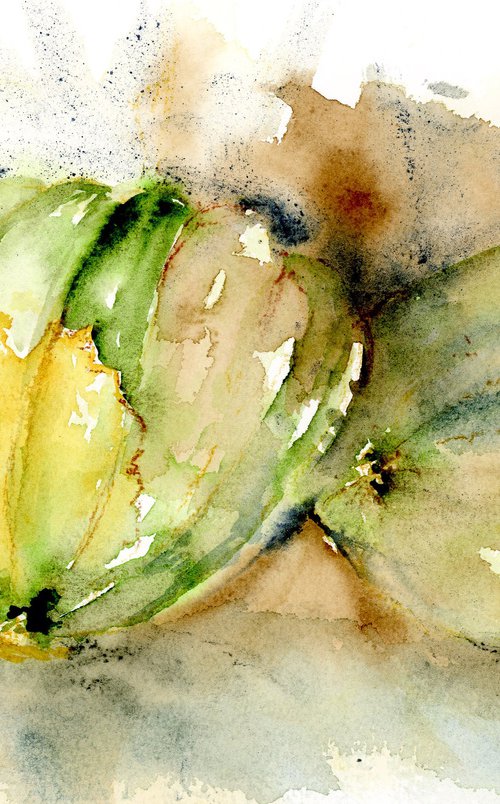 Acorn Squash by Alex Tolstoy