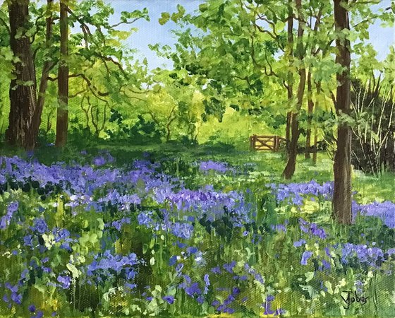 Bluebell Woods