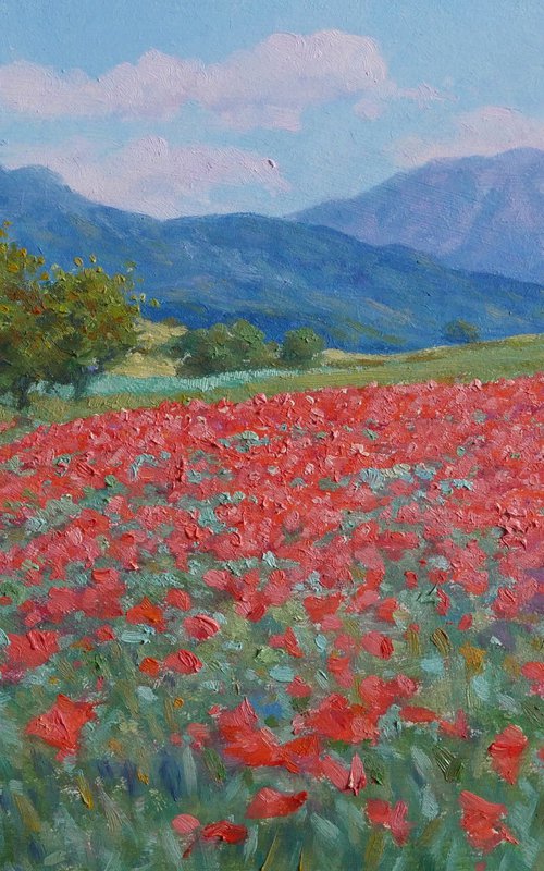 field of poppies in Provence by Claudio Ciardi