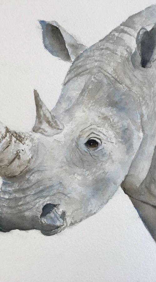 Rhino by Sabrina’s Art