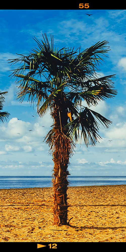 Three Palms, Clacton-on-Sea by Richard Heeps